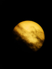 Sole © Steve Fossiant