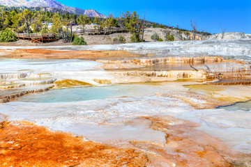 Canary Spring at Mammoth Hot Springs in Yellowstone National Park