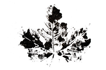 Abstract Black Paint Print of a Large Maple Leaf Ink Blot