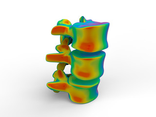 3D rendering - rainbow colored human spine
