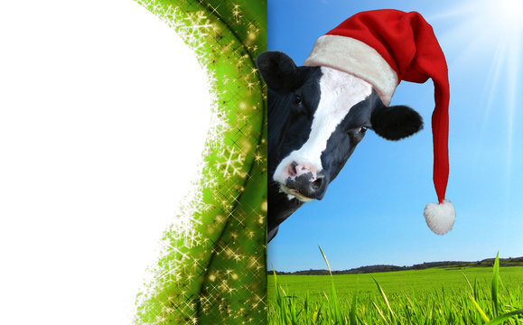 Christmas greeting card with cow