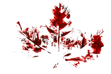 Red and Black Paint Ink Print of A Leaf Veins on White Background