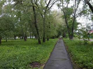 road in the Park