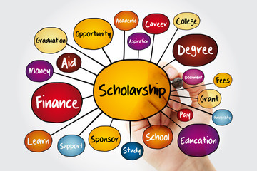 Scholarship mind map flowchart with marker, education concept for presentations and reports