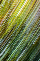 abstract green background