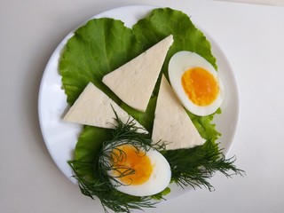 Food healthy cheese, breakfast in a plate, background