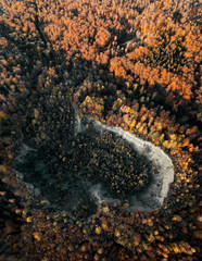 Old historic sand stone quarry in the middle of a mountain forest with colorful autumn tones trees. Aerial look down drone view from above