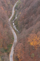 Road in autumn scenery, aerial view
