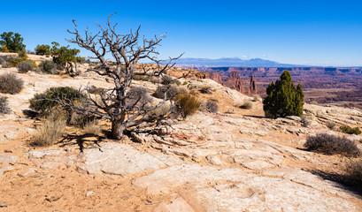 Canyonlands National Park