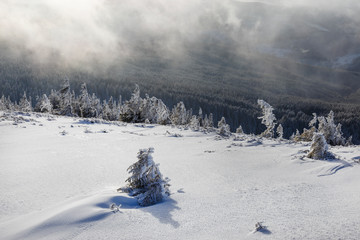 Fototapeta na wymiar Landscape scene in the mountain forest. Misty winter landscape in the snowy wood.