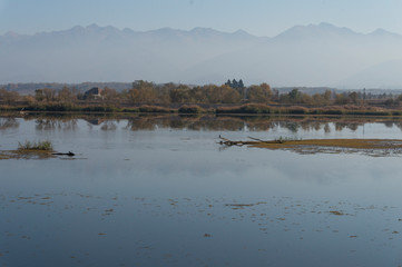 Colourful trees in the forest and mountains, autumn landscape