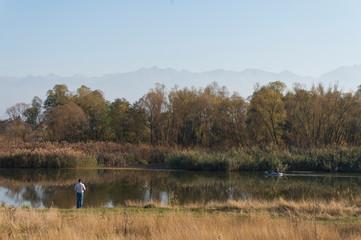 Colourful trees in the forest and mountains, autumn landscape