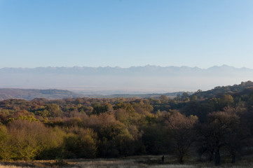 Golden fields in Carpathian Mountains. Mountains and barley cut fields in the horizon, golden hour photo-shoot. Golden fall panorama