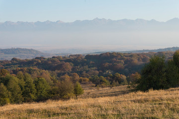 Fototapeta na wymiar Golden fields in Carpathian Mountains. Mountains and barley cut fields in the horizon, golden hour photo-shoot. Golden fall panorama