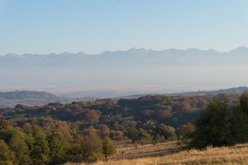 Fototapeta premium Golden fields in Carpathian Mountains. Mountains and barley cut fields in the horizon, golden hour photo-shoot. Golden fall panorama
