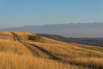 Golden fields in Carpathian Mountains. Mountains and barley cut fields in the horizon, golden hour photo-shoot. Golden fall panorama