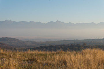 Fototapeta premium Golden fields in Carpathian Mountains. Mountains and barley cut fields in the horizon, golden hour photo-shoot. Golden fall panorama