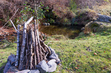 Colourful trees in the forest and mountains, autumn landscape