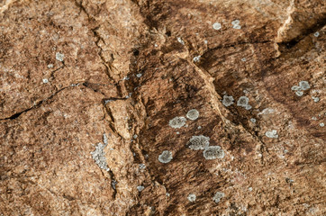 Granite boulder with cracks and lichen