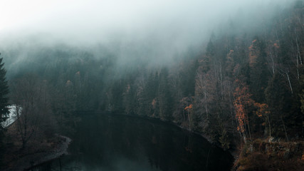Moody dark and cold winter vibes with heavy fog in the nature mountains with autumn trees...