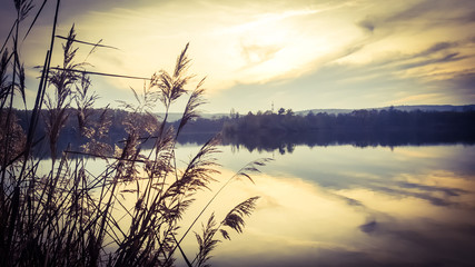 Beautiful view of a lake