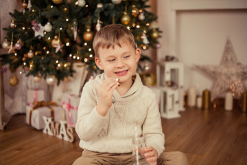 Little cute boy sits near a Christmas tree and drinks milk with Christmas cookies. Christmas. New Year.