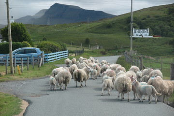 Rush Hour auf Skye