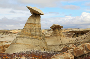 Hoodoo in Bisti, New Mexico
