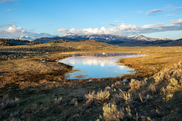 Fototapeta premium Yellowstone National Park