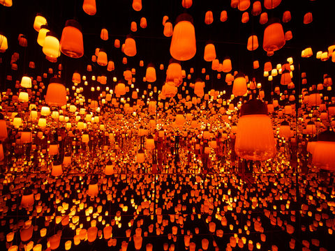 ランタンの森、lanthan forest in Tokyo