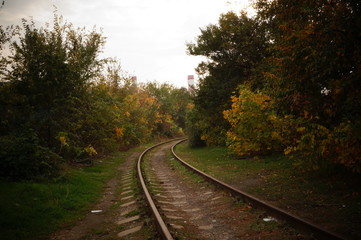 railway in the forest