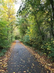 Fototapeta premium Herbst01