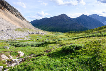 Summer in the Rocky Mountains