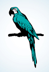 Fototapeta premium Parrot bird icon. Vector drawing