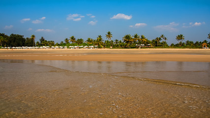 Indian Ocean Coast, New Year in India on Goa