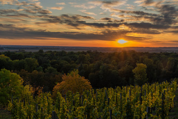 Sunset evening from Melnik castle in autumn color day