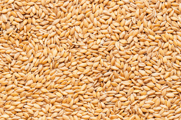 Pile of raw spelt seeds