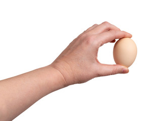 Hand Holding Raw Chicken Egg Isolated on White Background