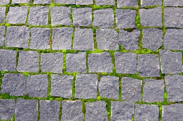 Granite paving tiles covered with green moss, vintage beautiful background for decoration