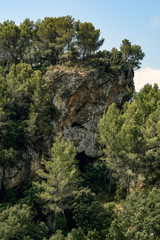 Fototapeta premium tree in mountains, mallorca, island, spain