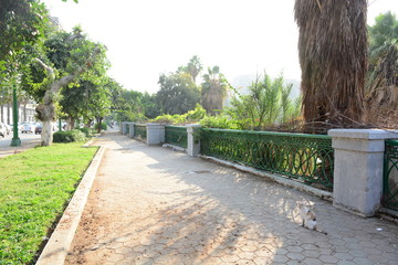 Kornish street in Cairo Egypt on the bank of the river nile