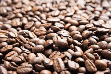 Roasted Coffee Beans