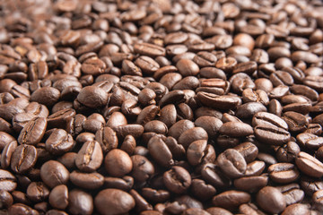 Roasted Coffee Beans