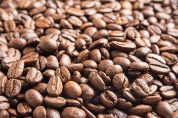 Roasted Coffee Beans