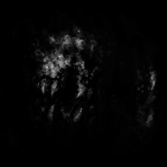 Fanged muzzle monster climbs out of the dark.