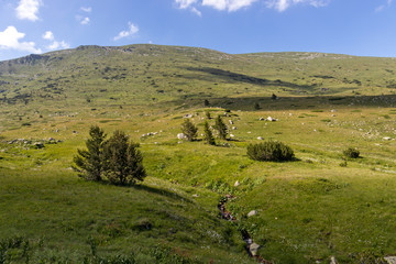 view near Belmeken Peak, Rila mountain, Bulgaria