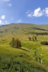 Fototapeta na wymiar view near Belmeken Peak, Rila mountain, Bulgaria