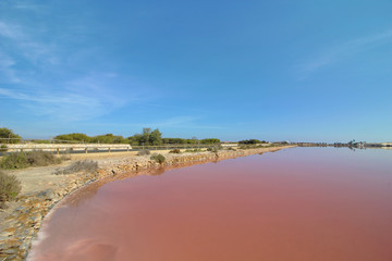 Salinas de San Pedro del Pinatar, Murcia, España