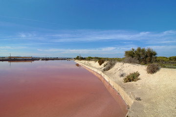 Salinas de San Pedro del Pinatar, Murcia, España