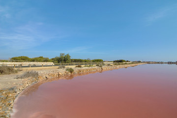 Salinas de San Pedro del Pinatar, Murcia, España